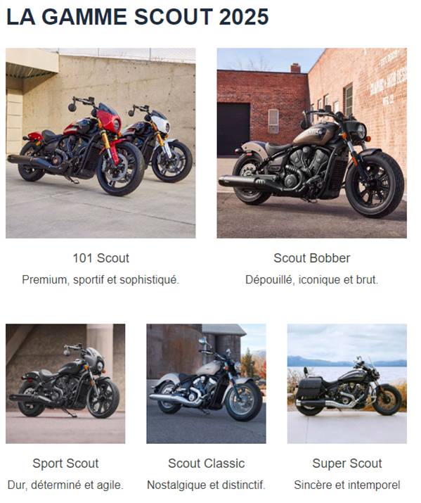 indian scout 2024 02